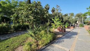 Ботанический парк. Кемер. Турция. Kemer, Turkey: Botanical Park. Zeki Tuncer