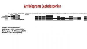 The Antibiotic Ladder Revisited: Anti-infective Therapy Part 2