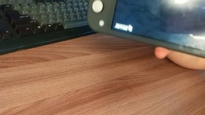 обзор нинтендо свич лайт