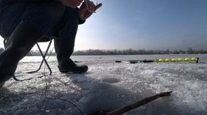 Рыбалка с подводной видеокамерой МУРЕНА