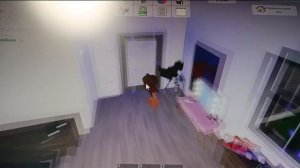 ищу дочку в брукхейвен рп.