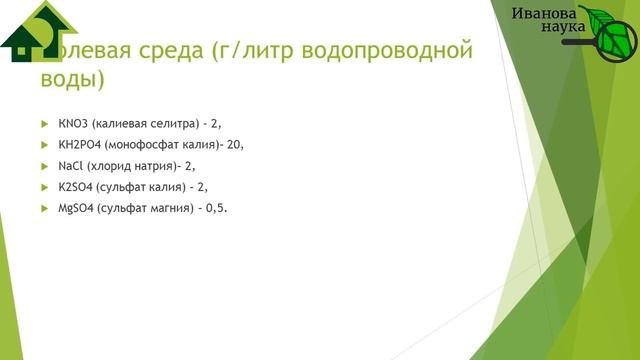 ВСЁ О ВЫРАЩИВАНИИ ДОМАШНИХ ПРЕПАРАТОВ: от закваски до оценки качества и использования.