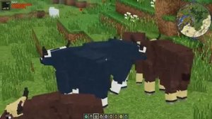 Zoo and Wild Animals Mod Animal Showcase v1.7.0 60FPS Animals in Minecraft Ep33