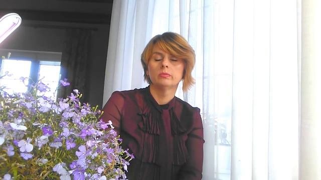 Петуния. Разновидности и сорта