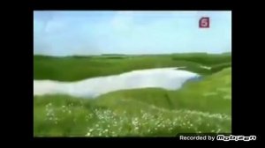 чистая линия шампунь крем для лица новогодняя 2011 реклама