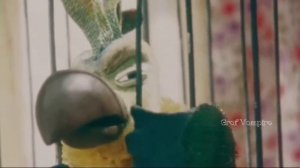 клип на песню