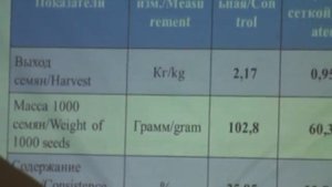 Как увеличить урожайность подсолнечника и садов на 228%