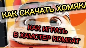 Как играть в Hamster Kombat. Как скачать хомяка.