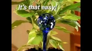 Автополив комнатных растений. Колбы для полива Plant Genie