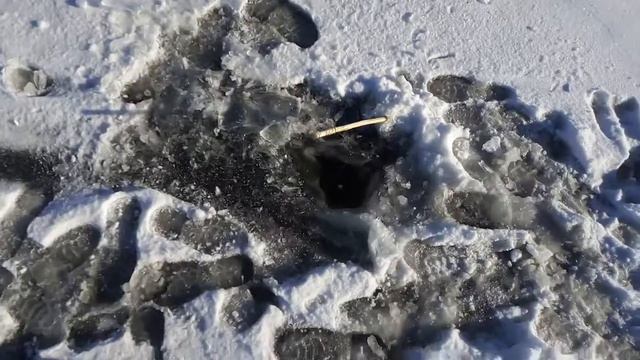 1 день рыбалки!) смотреть онлайн