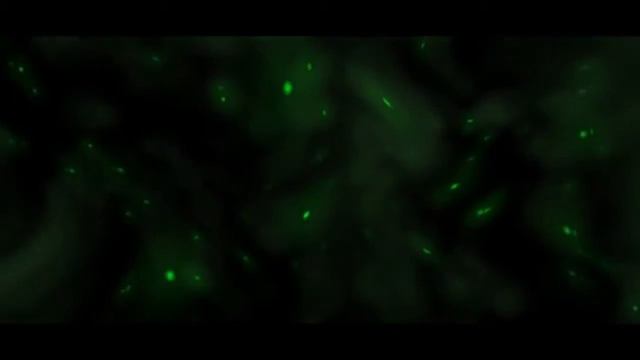 Крутой фон для 3D интро смотреть онлайн