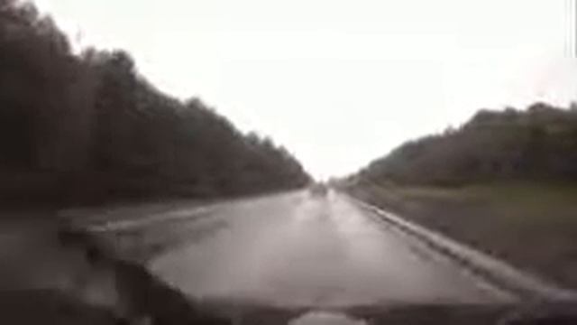 Олень перебегает дорогу Уфа. смотреть онлайн