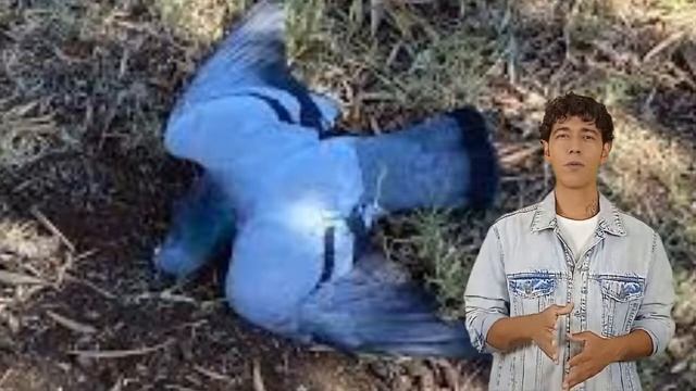 Dead pigeon dream interpretations смотреть онлайн