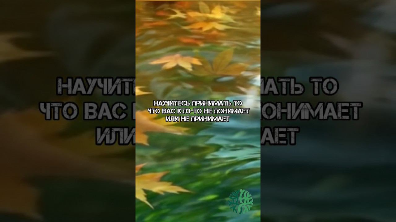 Если вас не понимают или не принимают #asmr #асмр #психологонлайн #отношениексебе