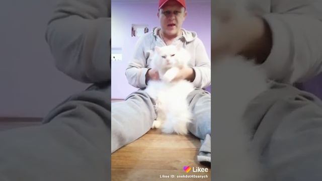 #РаскачайВесну как вам мой котэ? #котэ #кот #тренд #хит смотреть онлайн