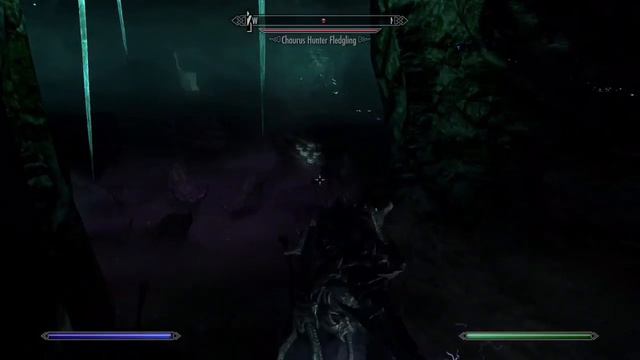 TESV - Skyrim SE: Elusive Shellbug Location - The Forgotten Vale Guide смотреть онлайн