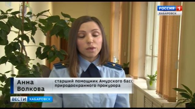 Загрязнение Амура стоками смотреть онлайн