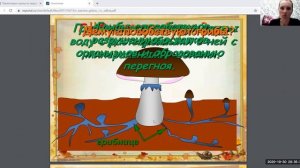 Окружающий мир Семейство грибов 3 класс Ветер О  А