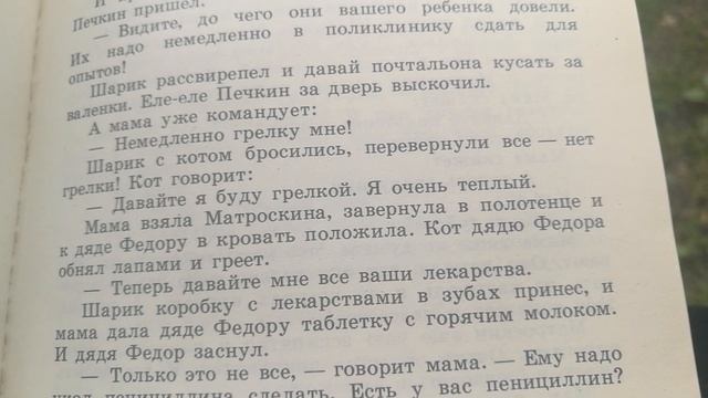 Каникулы в стране сказок. Дядя Фёдор, пёс и кот смотреть онлайн