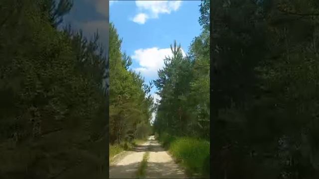 ?
Наша жизнь это путь..?