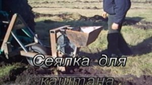 сеялка для каштана