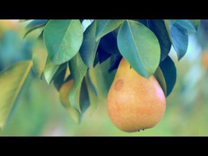 Бүгенгесе – бүләк!