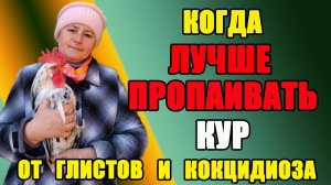 Когда лучше пропаивать кур от глистов и кокцидиоза.
