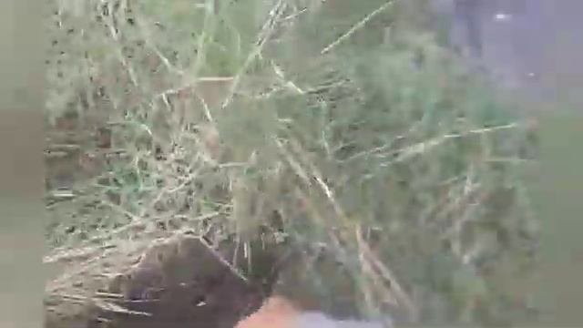 КопМеталлома Копаю вокруг Хранилище почти все очистил
