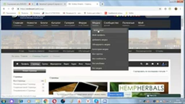 Социальная сеть ENDLESS STREAMS. Вебинар-презентация спикер Севиндж.14.05.19. смотреть онлайн
