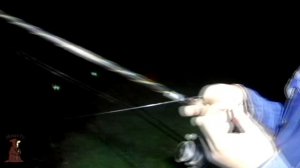 Побил рекорд по налиму. Рыбалка на Налима осенью на донки