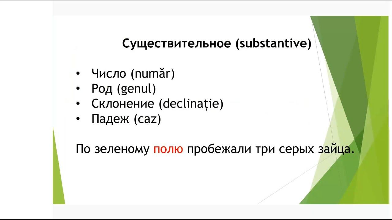 Лекция 10. Существительное