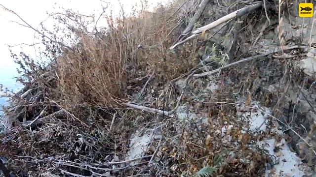 Тест спиннинга MAXIMUS High Energy-Z. Ловля вдоль берега на вращающиеся блесны. смотреть онлайн