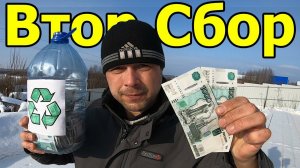 Сдал КАРТОН. Сколько стоит в 2023 году