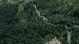 Вертолетная экскурсия по Швейцарии   9