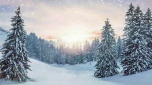 СНЕГОПАД 10 ЧАСОВ | ЗВУКИ ВЬЮГИ УСНУТЬ ЗА 5 МИНУТ  | СНЕГОПАД 10 ЧАСОВ| blizzard sounds