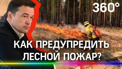 Через систему видеомониторинга фиксируется около половины лесных пожаров Подмосковья