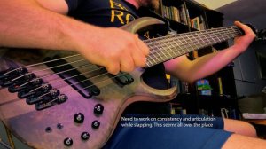 Luminary - Tesseract Cover || Bass Progression: 641 Hours