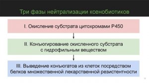 Строение и детоксикационная функция печени