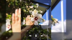 Группа Эдельвейс Микаил Курбаналиев  Аварская Отличная Песня(Цунта-Бежта)