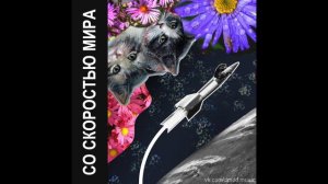 Со скоростью мира (Гражданская оборона: кавер)