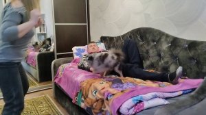 ДЖЕМ НЕ ДАЕТ В ОБИДУ