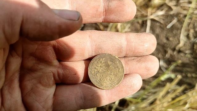 Коп монет по полям ? Много находок летом!
