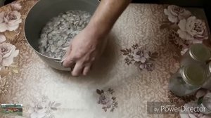 #Грибы синии ножки заготовка на зиму