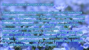 12 методов лечения желудка народными способами