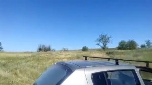 VLOG/ Сальский район/ Рыбалка/ Природа/ Лебеди/ Отдых/ Ростовская область/
