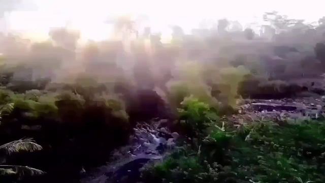 ГОРИТ ПЯТАЯ ТОЧКА! ОЛЮНЯ И КОТЮНЯ ВСЁ ПРОСТО. ОБЗОР.
