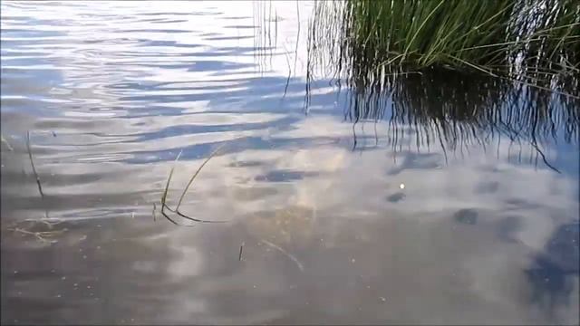 Старий Дніпро смотреть онлайн