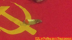 Одна из самых уловистых блесен СССР, советская блесна черная Salcia, выпускалась в Литве.