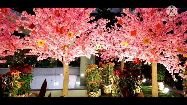 Traditional Chinese decoration in wanchai hk