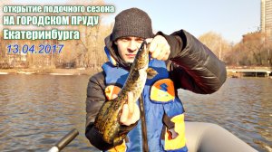 Налим на спиннинг! Открытие лодочного сезона на городском пруду Екатеринбурга. Ловля судака весной